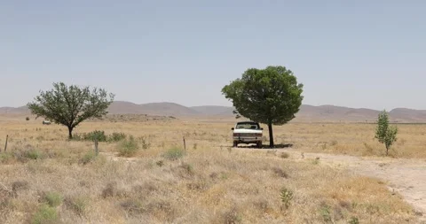 Peykan car resting in sparse shade beneath lone tree in dry open field Stock Footage 320460980