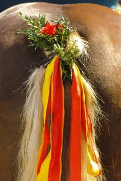 Pferde Schweif festlich geschmückt beautiful decorated bavarian horse tail.. Stock Photos