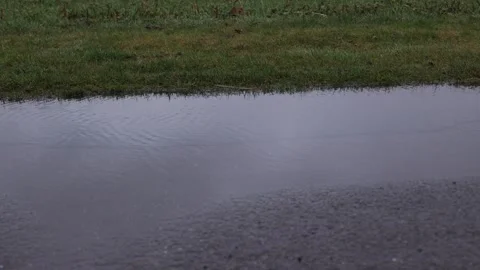 Pfuetze, Puddle, Pond Stock Footage 264584302