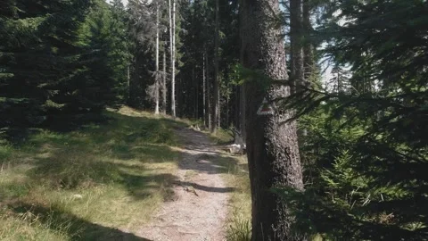 Pg gp2 Stock Footage 168325509