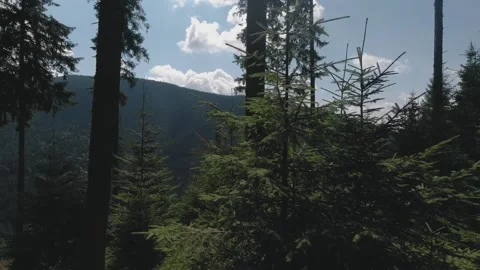 Pg gp3 動画素材 168325505