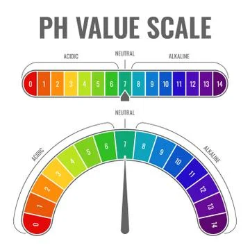 Ph alkaline acidic scale. Indicator water balance diet laboratory test acid Illustrazione stock