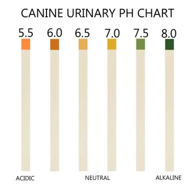 Ph chart Stock Photos