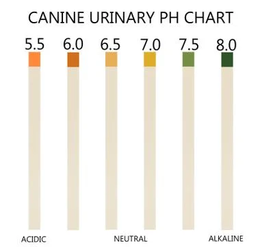 Ph chart Stock Photos