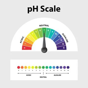 Ph level Scale chart indicator diagram value. Stock Illustration