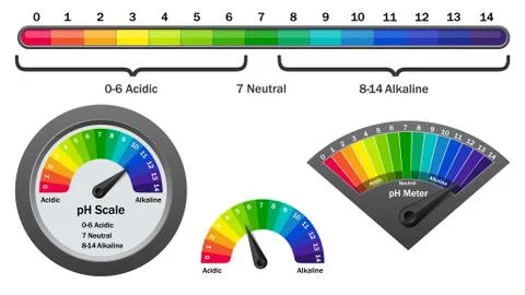 PH meter checking acidity level, vector illustration Illustrazione stock