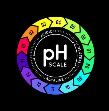PH meter for measuring acid alkaline balance. infographics in the circle form Stock Illustration