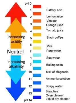 PH scale acidity alkalinity Stock Illustration