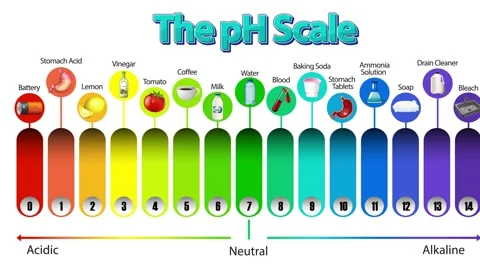 pH Scale Animation with Colorful Bars | Stock Video | Pond5