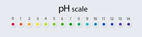 PH scale chart for acid and alkaline solutions. Acid-base balance ...