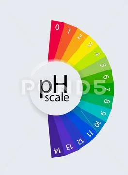 PH scale chart for acid and alkaline solutions. Acid-base balance ...