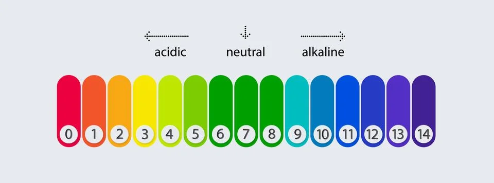 PH scale chart for acid and alkaline solutions. Acid-base balance infographic Stock Illustration