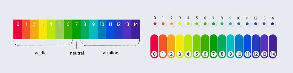 PH scale chart for acid and alkaline solutions. Acid-base balance infographic Stock Illustration