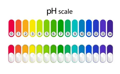 PH scale chart for acid and alkaline solutions. Acid-base balance infographic Stock Illustration