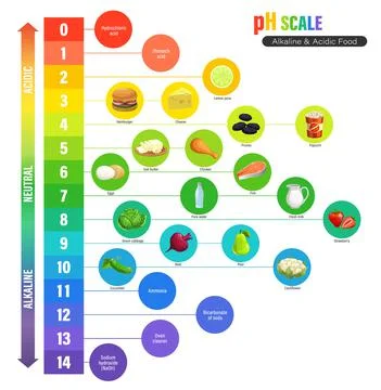 PH scale chart, alkaline or acidic nutrition meter Stock Illustration