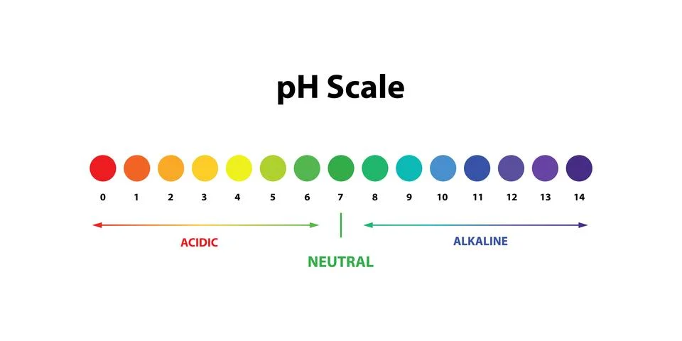 Ph Scale chart indicator diagram value. Stock Illustration
