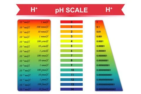 PH scale chart vector illustration 스톡 일러스트