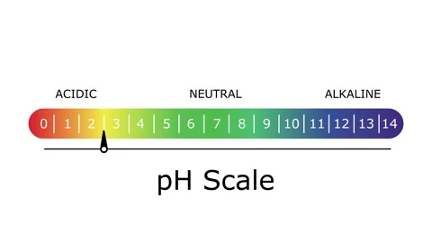 PH Scale Diagram Animation Acidic to Alkaline Levels Video stock 315617241