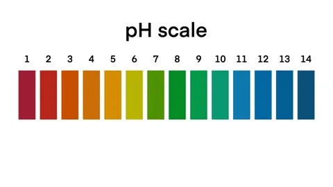 Ph scale diagram, Ph scale graphic, Acid to base Stock Footage 285006506