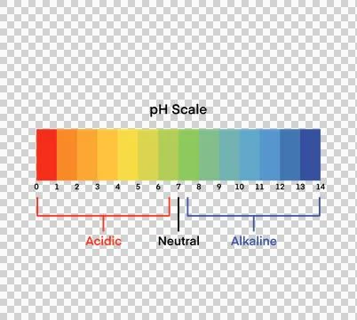 Ph scale diagram, Ph scale graphic, Acid to base Stock Illustration