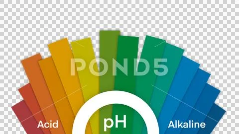 Ph scale diagram, Ph scale vector graphic, Acid to base, pH scale ...