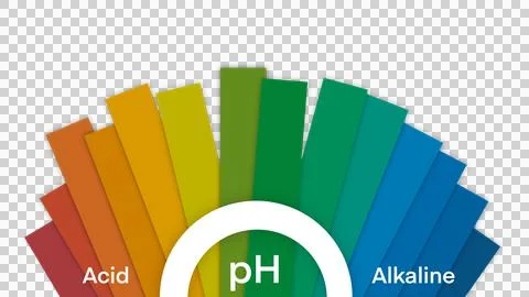 Ph scale diagram, Ph scale vector graphic, Acid to base, pH scale Stock Illustration