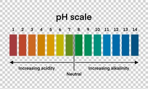 Ph scale diagram, Ph scale graphic, Acid to base, pH scale Infographic acid-base Illustrazione stock