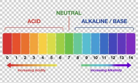 Ph scale diagram, Ph scale graphic, Acid to base, pH scale Infographic Stock Illustration