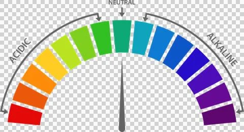 PH Scale Displaying Acidic, Neutral, and Alkaline Levels Using a Color Grad.. Illustrazione stock