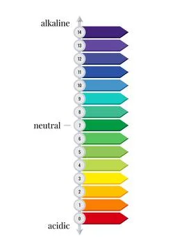 PH scale horizontal chart meter for acid and base solutions isolated on white Stock Illustration