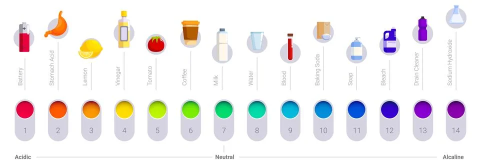 Ph scale icons set. Ph chart showing acidic alkaline levels of common substances Illustrazione stock