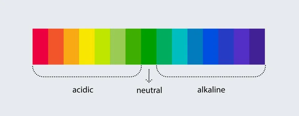 PH scale indicator chart. Acidic Alkaline measure. pH analysis chemical scale Illustrazione stock