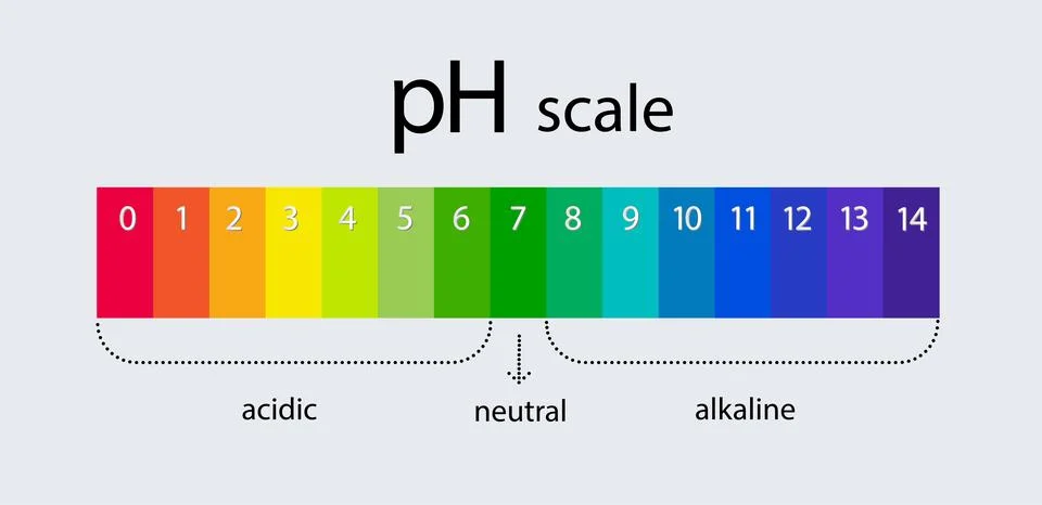PH scale indicator chart. Acidic Alkaline measure. pH analysis chemical scale Illustrazione stock