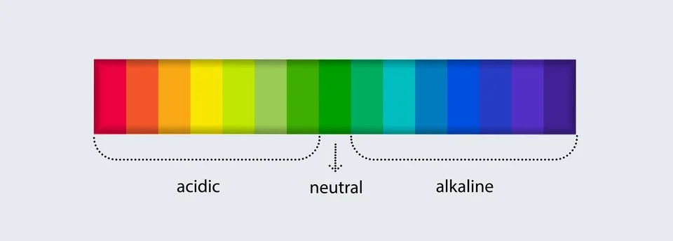 PH scale indicator chart. Acidic Alkaline measure. pH analysis chemical scale Illustrazione stock