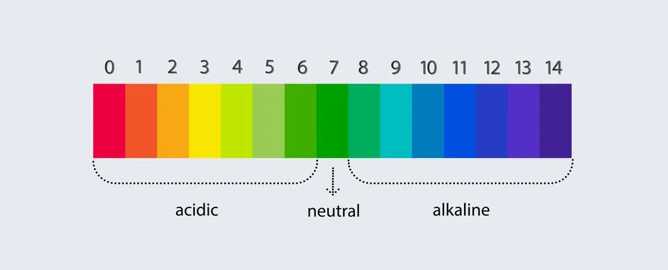 PH scale indicator chart. Acidic Alkaline measure. pH analysis chemical scale Illustrazione stock