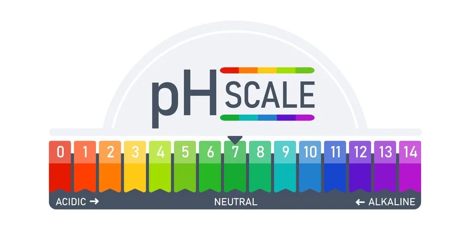 PH scale indicator chart diagram acidic alkaline measure. Acid-base balance Stock Illustration