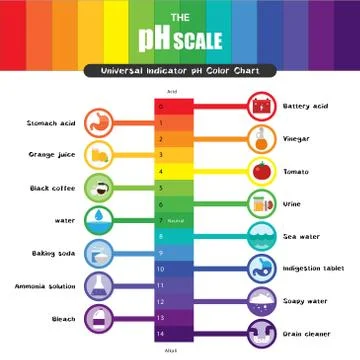 The pH scale Universal Indicator pH Color Chart diagram Stock Illustration