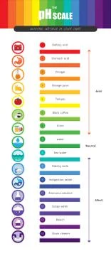 The pH scale Universal Indicator pH Color Chart diagram Illustrazione stock