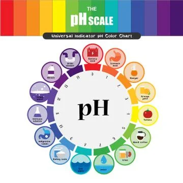 The pH scale Universal Indicator pH Color Chart diagram Stock Illustration