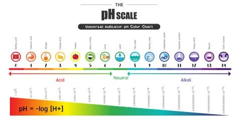 The pH scale Universal Indicator pH Color Chart diagram Illustrazione stock