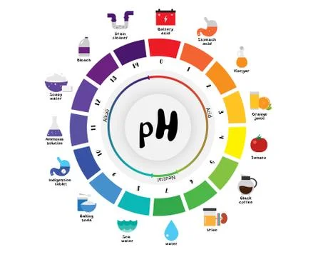 The pH scale Universal Indicator pH Color Chart diagram Illustrazione stock