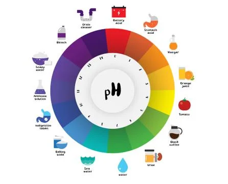 The pH scale Universal Indicator pH Color Chart diagram Stock Illustration