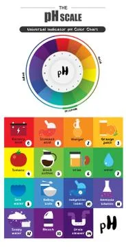 The pH scale Universal Indicator pH Color Chart diagram Stock Illustration