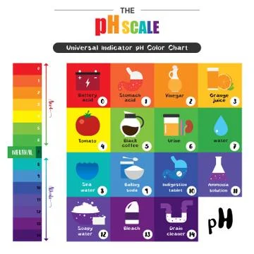 The pH scale Universal Indicator pH Color Chart diagram Illustrazione stock