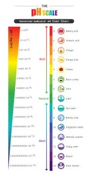 The pH scale Universal Indicator pH Color Chart diagram Illustrazione stock
