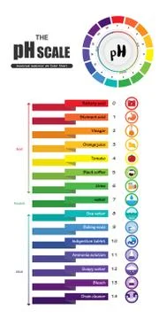 The pH scale Universal Indicator pH Color Chart diagram Stock Illustration