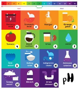 The pH scale Universal Indicator pH Color Chart diagram Stock Illustration