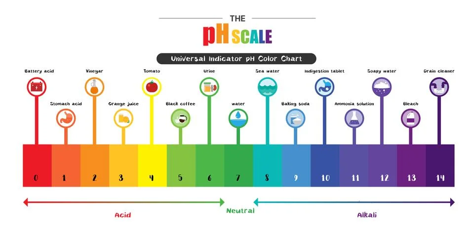 The pH scale Universal Indicator pH Color Chart diagram Illustrazione stock