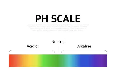 The Ph scale universal Indicator ph Color Chart diagram. Vector illustration  Illustrazione stock