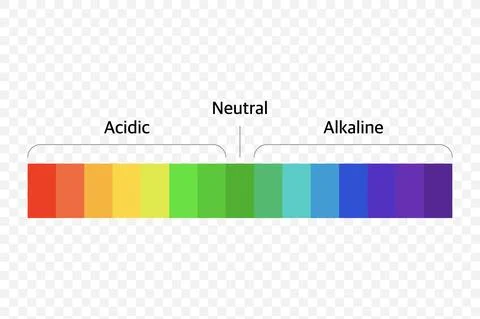 The Ph scale universal Indicator ph Color Chart diagram. Vector illustration  Illustrazione stock